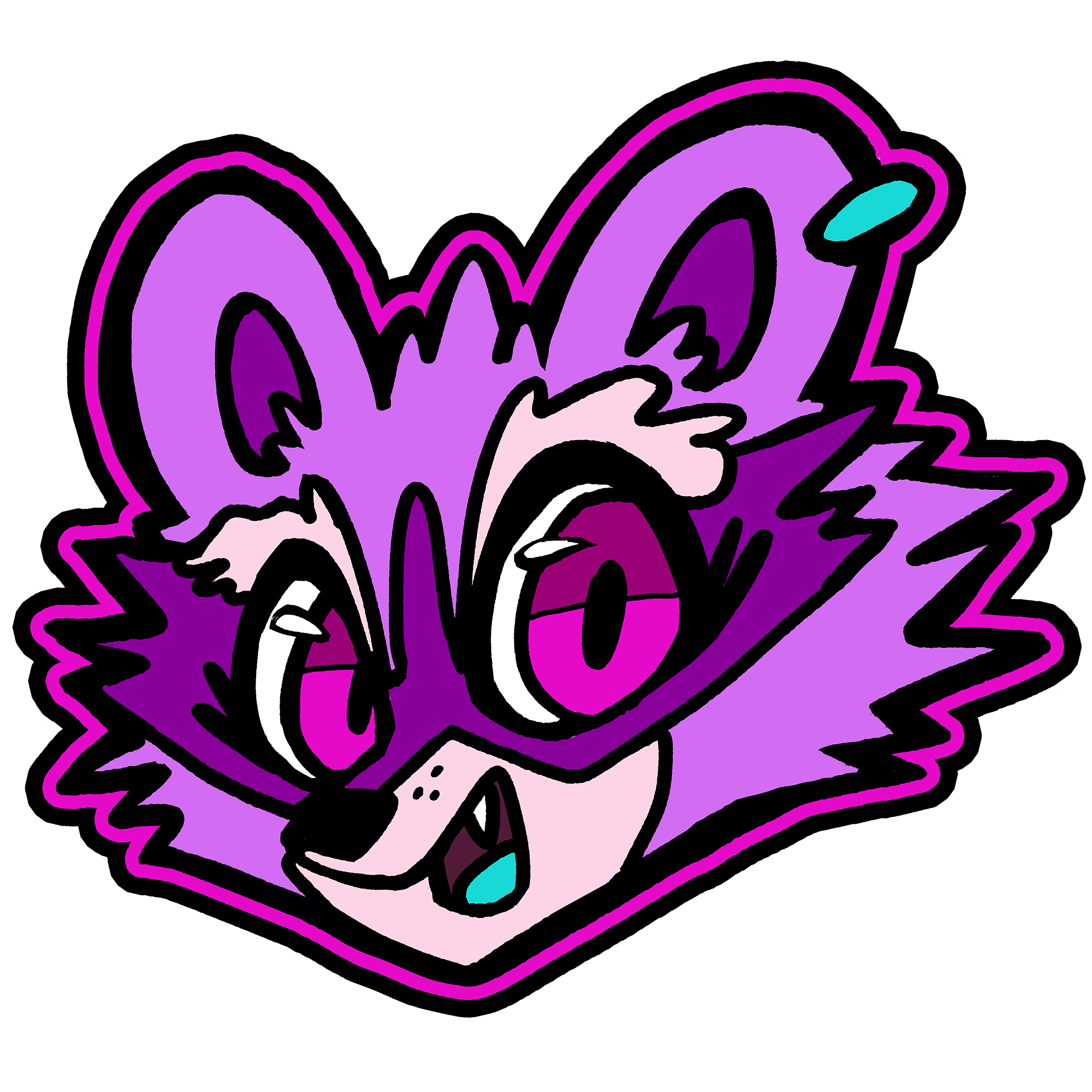 zeetheraccoon