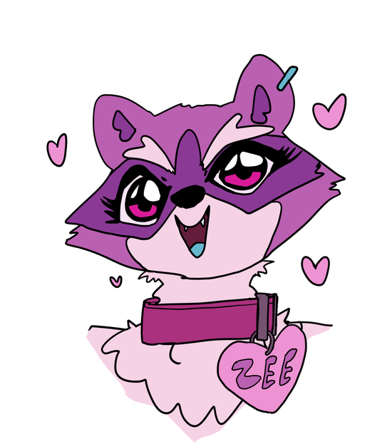 zeetheraccoon